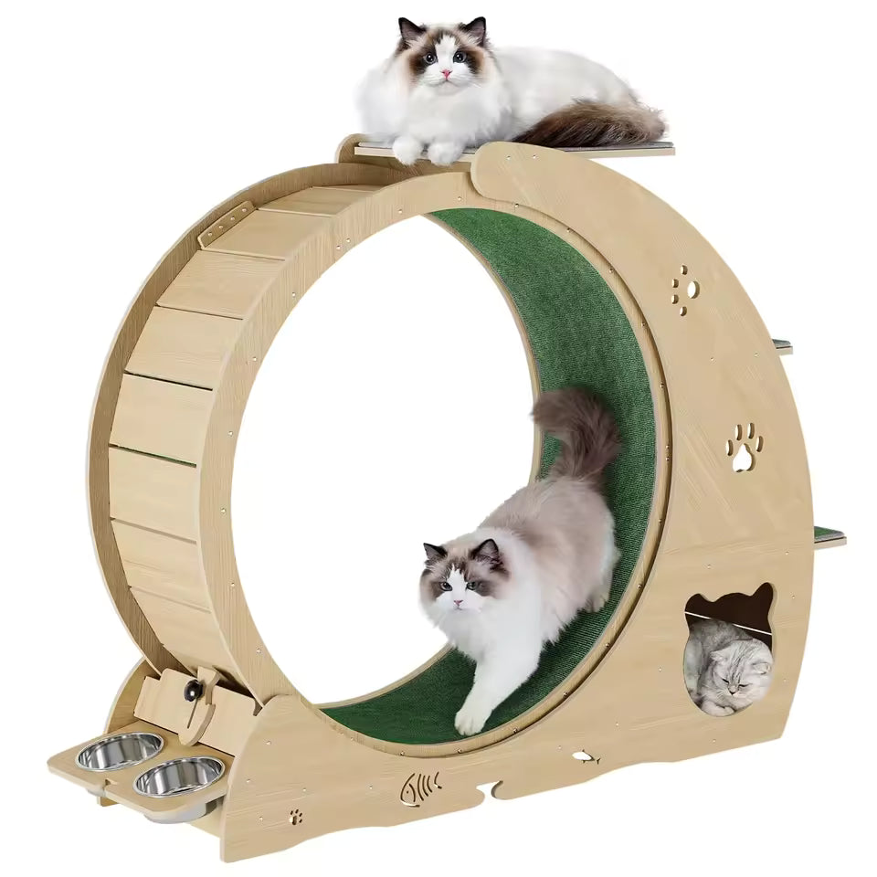 6-In-1 Cat Exercise Wheel for Indoor Cats, Large Quiet Cats Running Wheel with Robust Scratching Post,Detachable, Customized