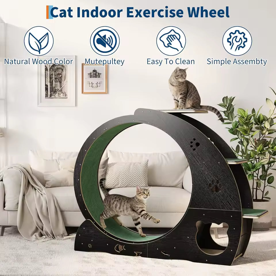 6-In-1 Cat Exercise Wheel for Indoor Cats, Large Quiet Cats Running Wheel with Robust Scratching Post,Detachable, Customized