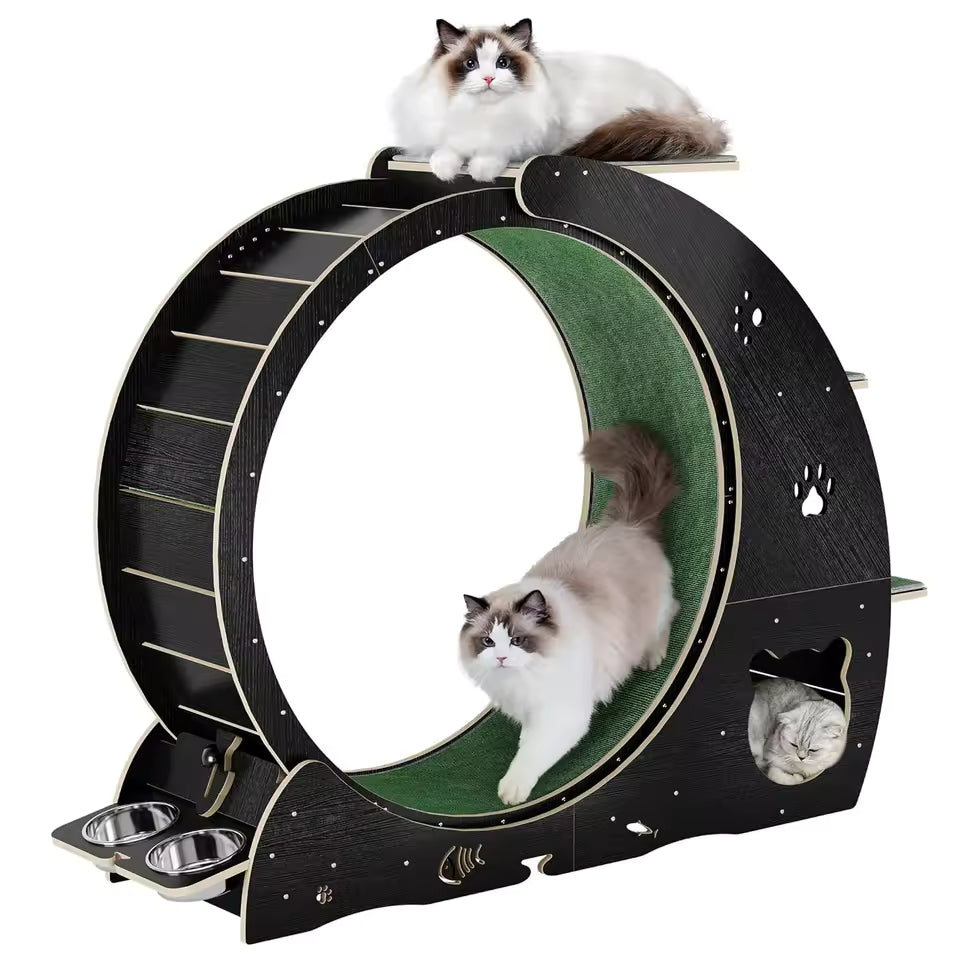 6-In-1 Cat Exercise Wheel for Indoor Cats, Large Quiet Cats Running Wheel with Robust Scratching Post,Detachable, Customized