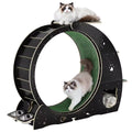 6-In-1 Cat Exercise Wheel for Indoor Cats, Large Quiet Cats Running Wheel with Robust Scratching Post,Detachable, Customized