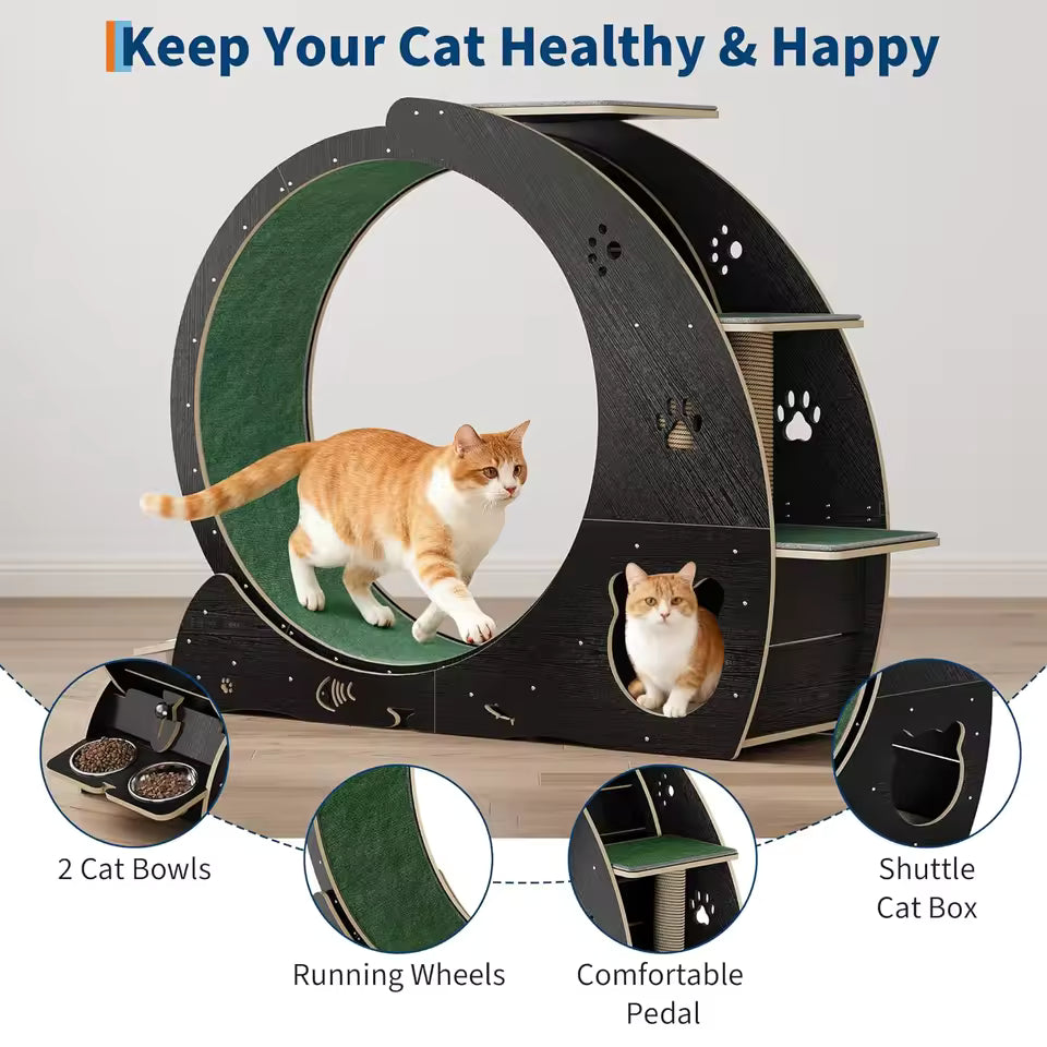 6-In-1 Cat Exercise Wheel for Indoor Cats, Large Quiet Cats Running Wheel with Robust Scratching Post,Detachable, Customized