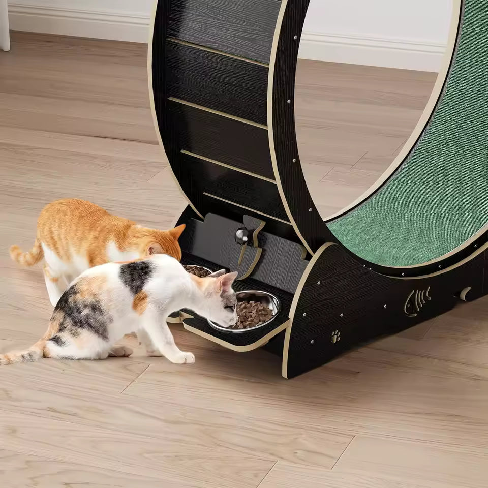 6-In-1 Cat Exercise Wheel for Indoor Cats, Large Quiet Cats Running Wheel with Robust Scratching Post,Detachable, Customized