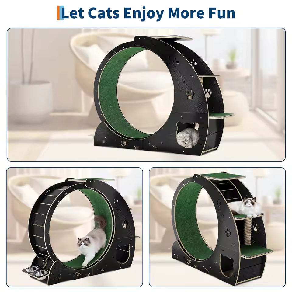 6-In-1 Cat Exercise Wheel for Indoor Cats, Large Quiet Cats Running Wheel with Robust Scratching Post,Detachable, Customized